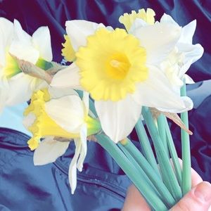 Meet your Posher, Ella